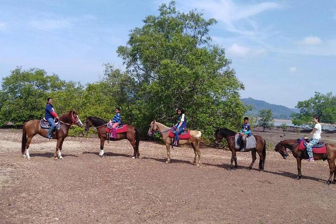 Sunset Horse Riding Tour at Ao Nam Mao Beach Krabi - Additional Information