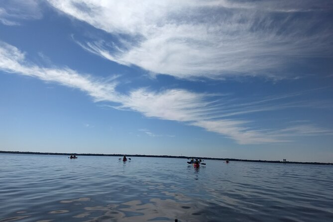 Sunset Kayaking Tour at Manatee Cove With Manatee & Dolphin Sightings - Inclusions