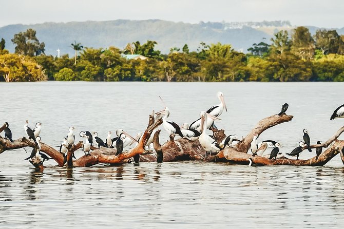 Sunset River Cruise Near Byron Bay - Weather and Minimum Travelers