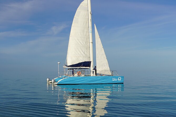 Sunset Sail & Dolphin Search With Honest Eco - Participation and Travel Requirements