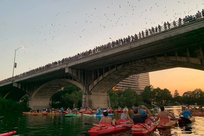 Sunset Skyline Kayak Tour - Logistics