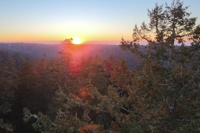 Sunset Tree Climb at Silver Falls State Park - Necessary Gear and Safety Procedures