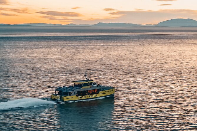 Sunset Whale Watching Adventure From Vancouver - Traveler Photos and Reviews