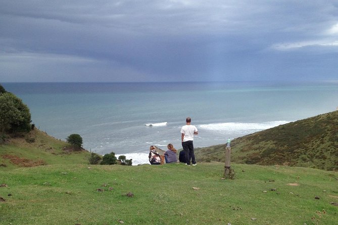Surf the Basque Country Day Trip - Private Experience - Cancellation Policy