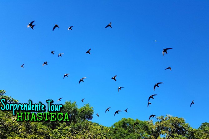 Swallow Show, Tamul Waterfall by Canoe and Cenote Cueva Del Agua - Tour Stops