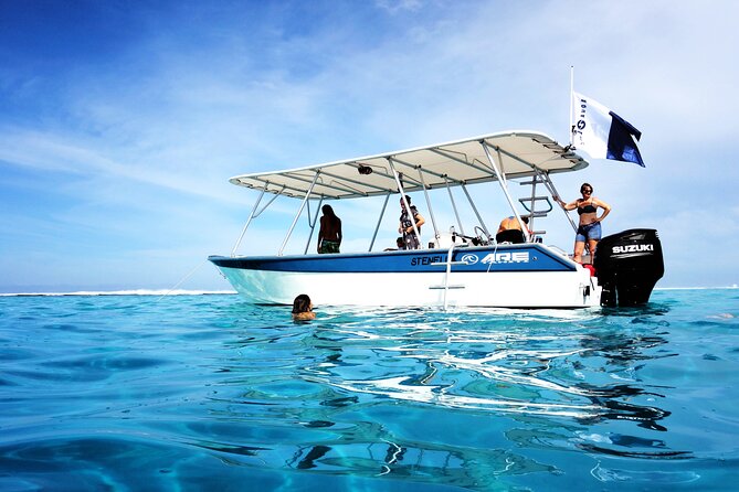 Swim With Whales, on the Preserved and Quiet Coast of Paea and Papara (27km From Ppt) - The Sum Up