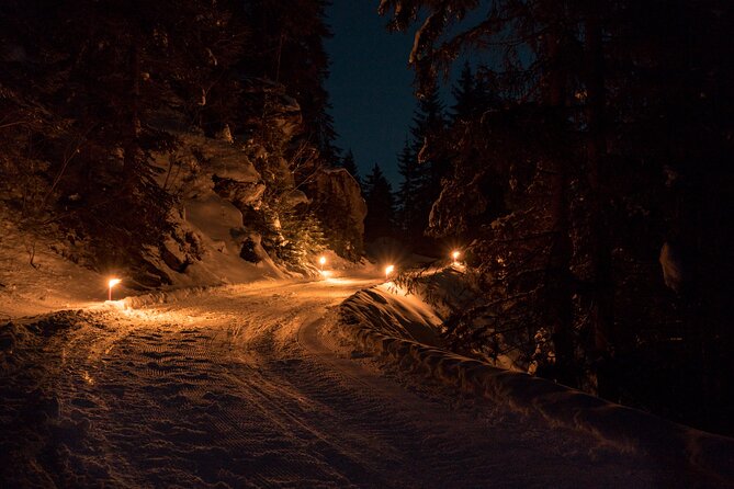 Swiss Alps Night Sled Ride With Fondue Option From Interlaken - Reasons to Choose This Tour