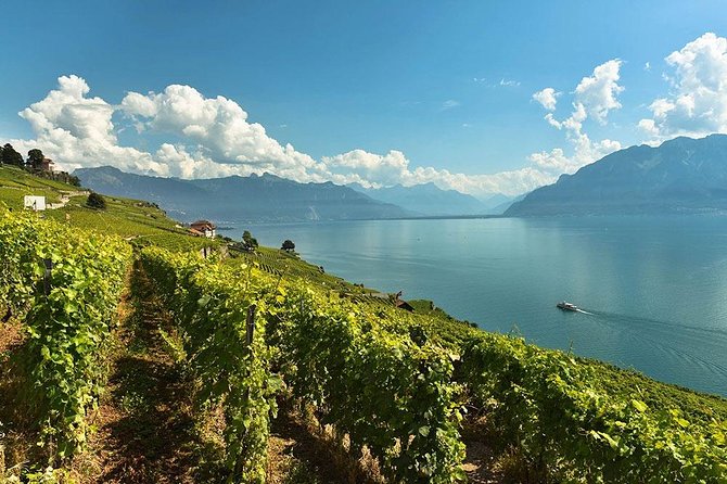 Swiss Wine Tasting at Lavaux Vineyards: Private Trip From Geneva - Tour Details
