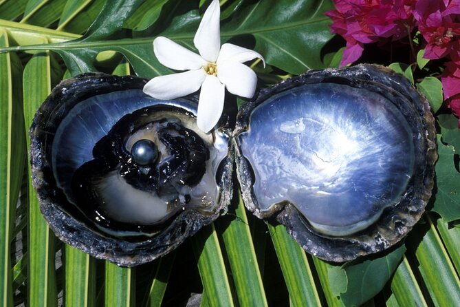 Tahaa Lagoon Tour -Departure Raiatea-Small Groups (Max 12 P) - Itinerary Overview