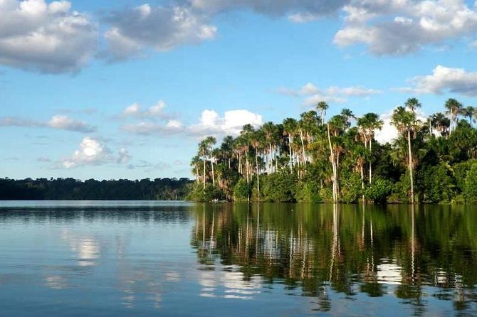 Tambopata Jungle Adventure Tour 4 Days - Possible Wildlife Sightings