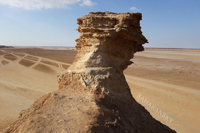Tamerza, Chebika, Mides Canyons and Star Wars Locations Day Tour - Traveler Photos and Reviews