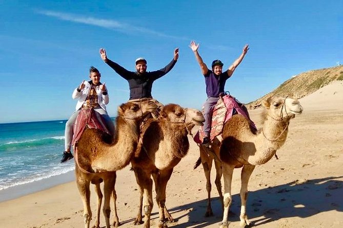 Tangier Half Day Tour With a Local Guide - Pickup and Drop-off Options