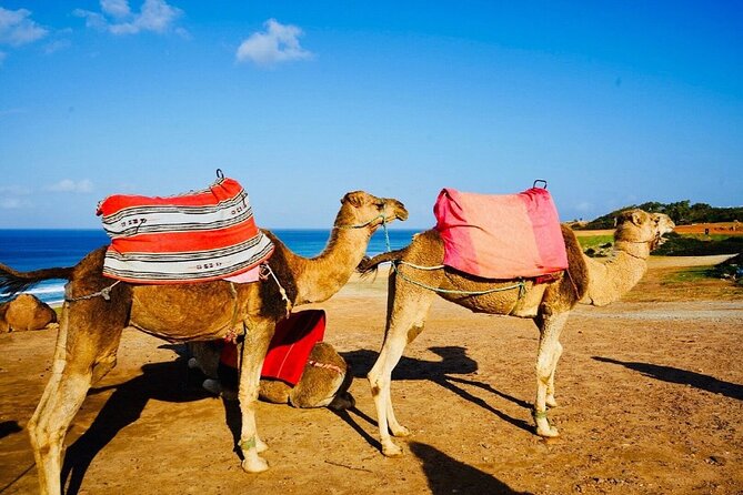 Tangier Private Half-Day Sightseeing Tour - Enjoy Sweeping Views at Cape Spartel