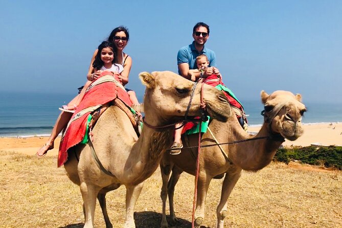Tangier Private Tour From Malaga With Hotel Pick up - Customer Reviews