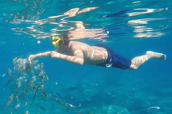 Taormina Snorkeling Experience - Activity Cancellation Policy