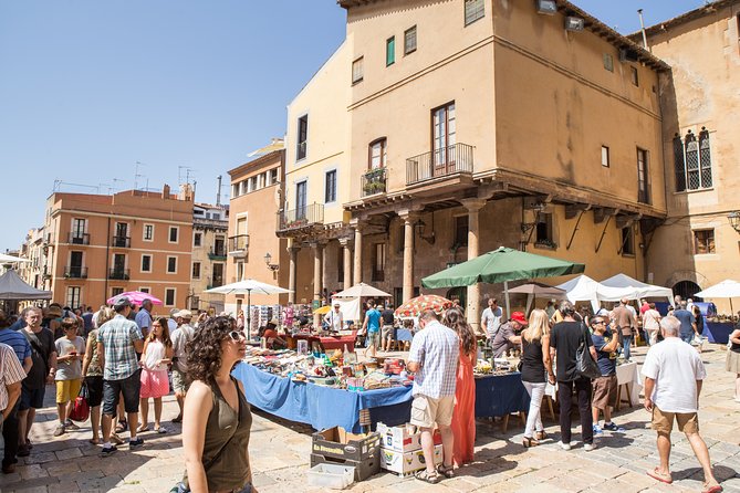 Tarragona Highlights Private Tour - Chariot Races and Gladiator Fights