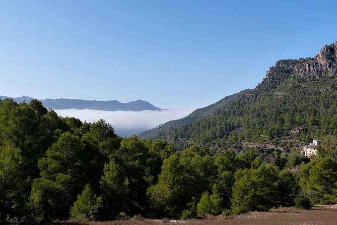 Tarragona, Ruins & Priorat Private Tour - Hotel Pick up From Salou/Tarragona - Reservation Details