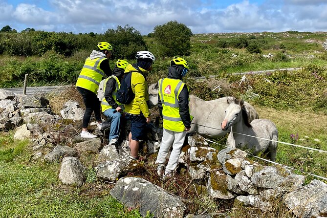 Taste of Connemara Tour by Electric Fat Tyre Bike - Itinerary Overview