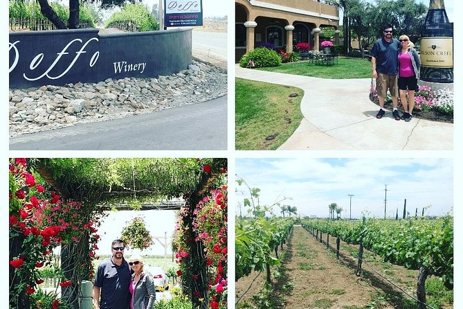 Temecula Valley Wineries and Vineyards Drink and Taste Tour From Orange County - Cancellation Policy