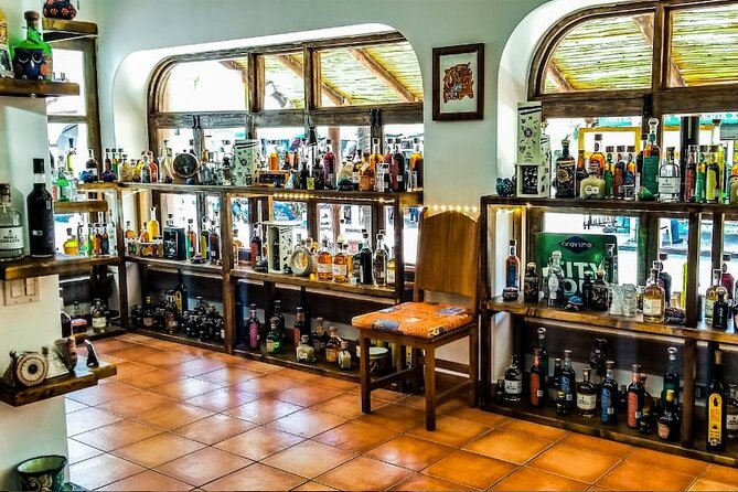 Tequila Tasting in Cabo San Lucas - Variety of Tequila and Mezcal