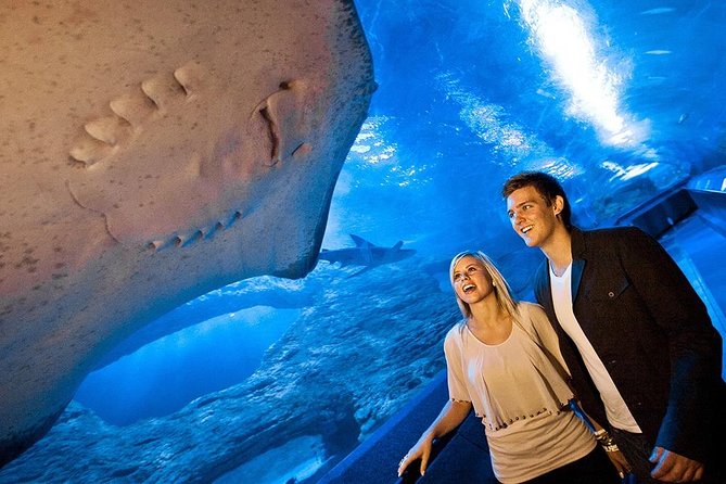 The Aquarium of Western Australia General Admission Ticket  - Perth - Interacting With Marine Life at the Aquarium