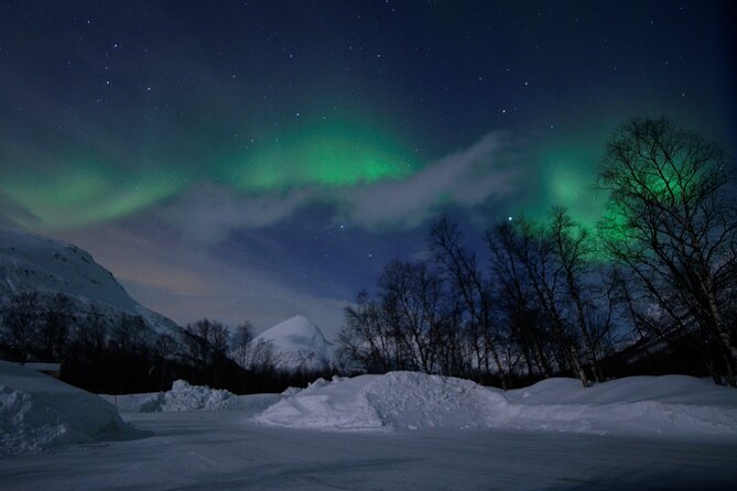 The Aurora Tour - VIP Trip for Northern Lights, Aurora Borealis - Reviews and Ratings