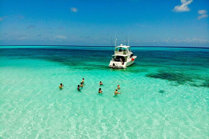 The Best Cozumel Snorkeling Tour Palancar, Colombia and El Cielo Reefs - Meeting Point and End Point Information