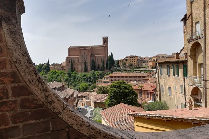 The Best of Siena - Private Walking Tour - Personalized Guided Experience
