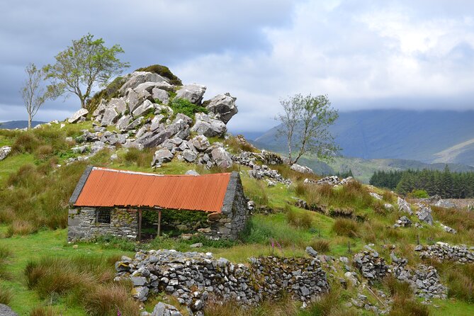 The Best Two Day Tours in Ireland: The Ring of Kerry and Dingle Slea Head Tours - Insider Tips for Making the Most of Your Ring of Kerry and Dingle Slea Head Tours