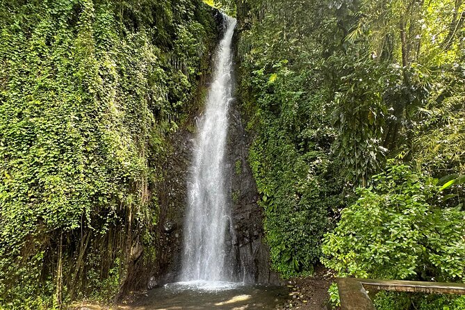 The Cascading Dark View Falls and Beach Experience With Topdawg Taxi and Tours - Tour Schedule