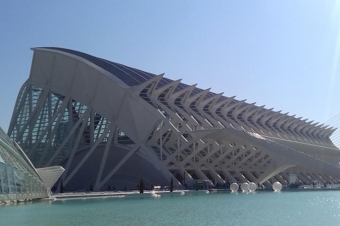 The City of Arts and Sciences in Valencia - Science Museum