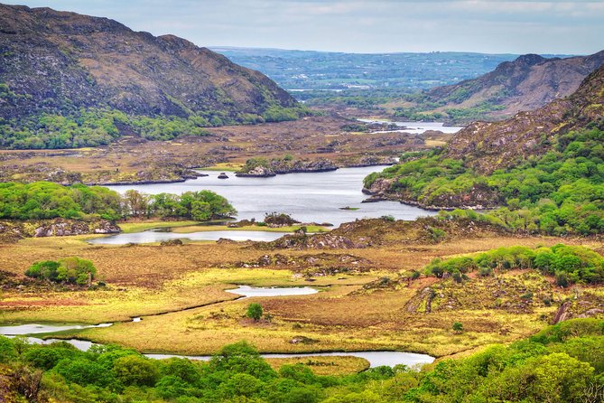 The Classic Ring of Kerry & Skellig Ring Tour - Common Questions