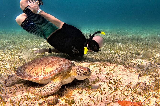 The Cozumel Turtle Sanctuary Snorkel Tour - Departure Time and Location