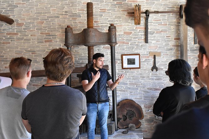 The Governor Olive Mill Tour With Olive Oil Tasting - Tour Highlights