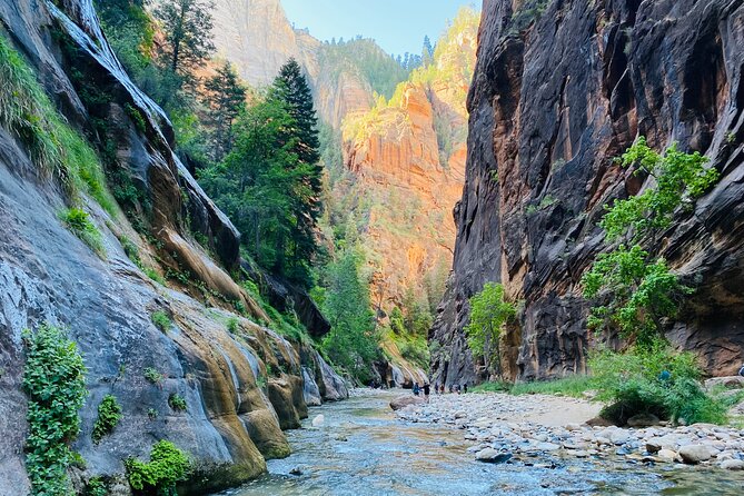 The Narrows: Zion National Park Private Guided Hike - What to Expect