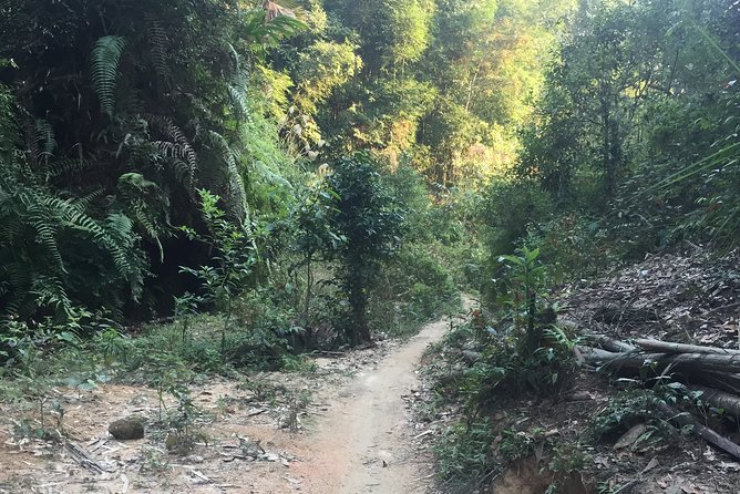 The Off Road Hoang Shu Phi Adventure - Itinerary and Activities