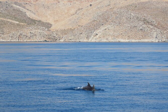 The Santa Maria Full-Day Island Cruise in Aegean Sea - Weather and Minimum Traveler Requirements