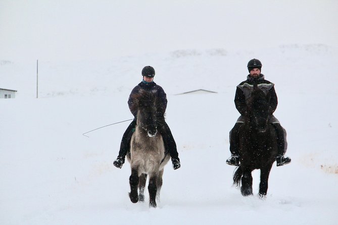 The Viking North Iceland Horse Riding in Winter Experience - Tour Details