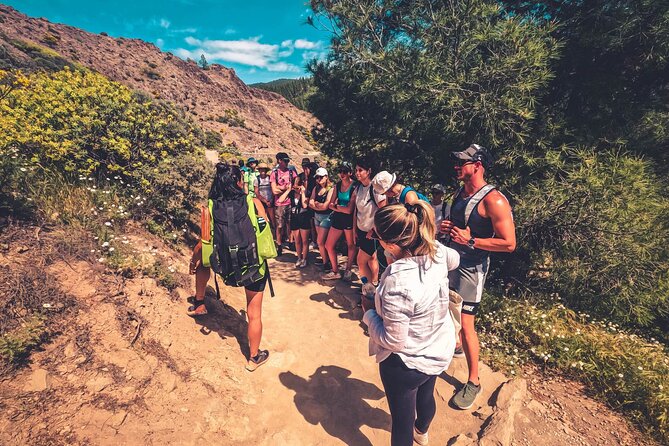 The Volcano Heart Tour: Hiking, Tasting and Sunset Experience - Scenic Beauty on the Tour