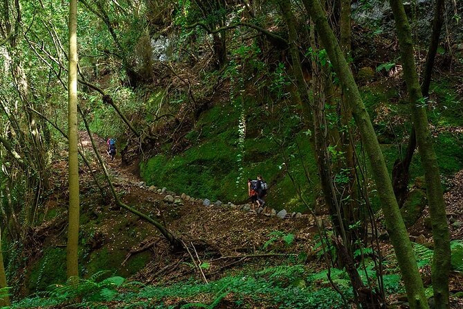 Thematic Hiking Route La Zarza in La Palma - Doña Pola Viewpoint and Coastal Cliff Views