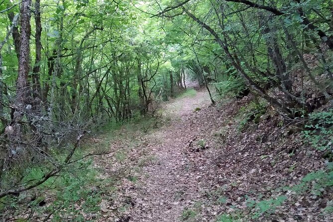 Thessaloniki to Naoussa, Wine Tasting Tour – Private Day Trip - Reviews and Ratings