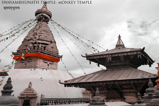 Things to Do in Nepal; Everest for Breakfast With 4 Days Nepal Tour - Experiencing Wildlife in Chitwan National Park