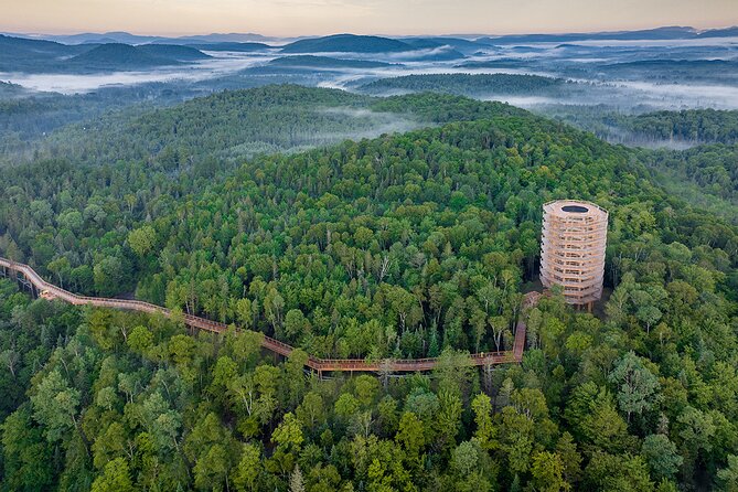 Ticket to Mont Tremblant Treetop Observatory and Walk - Traveler Photos