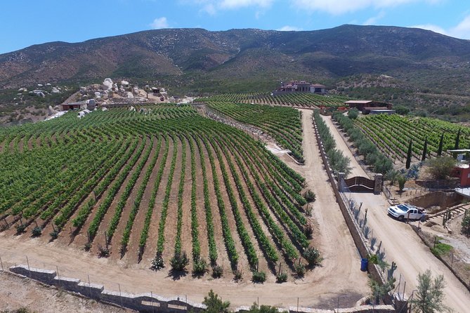 Tijuana Private Full Day Tour With Wine Tasting - Wine Tasting Experience