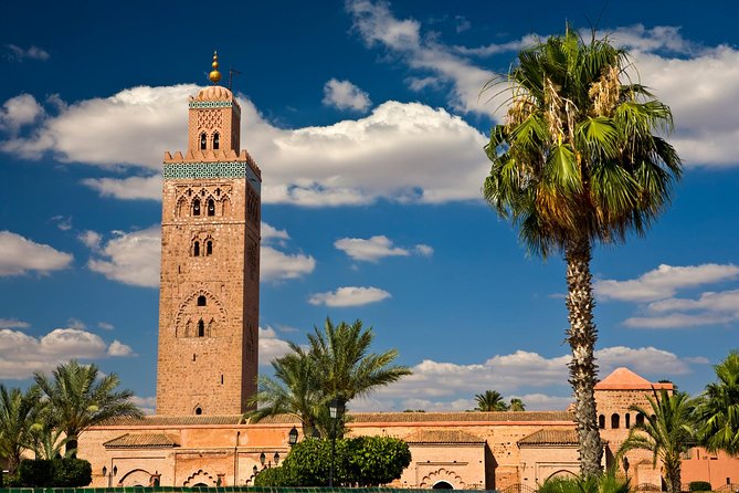 Top Activities : Half Day Guided Walking Tour in Marrakech With Official Guide - Vibrant Souks and Marketplaces