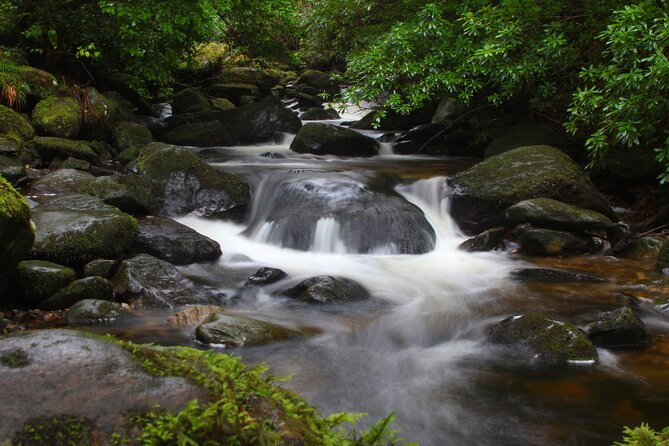 Torc Mountain & Waterfall Hike. Killarney. Private Guided Group. 3½ Hours. - Pricing and Booking
