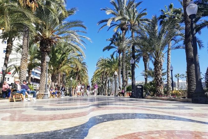 Total Alicante Walking Tour, Tapas and Wine Tasting - Cultural Highlights Exploration