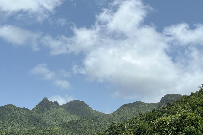 Tour El Yunque Rainforest - Tour Details and Identification