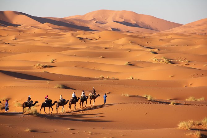 Tour From Marrakech to the Desert 4 Days - Campsite in the Desert