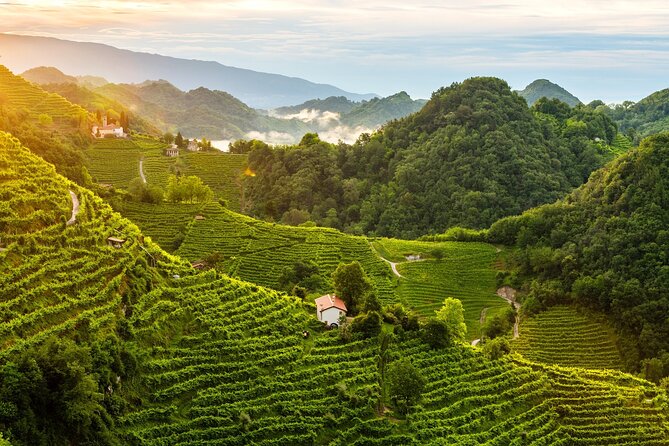 Tour in the Prosecco Hills Tour From Padua - Reviews and Ratings